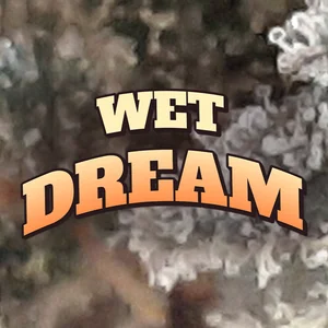 Wet Dream Cannabis Strain