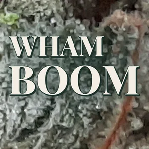 WHAM BOOM Cannabis Strain