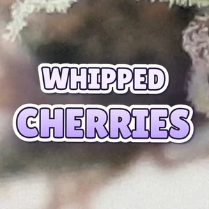 Whipped Cherries Cannabis Strain