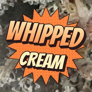 Whipped Cream Cannabis Strain