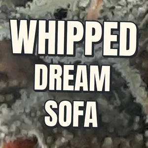 Whipped Dream Sofa Cannabis Strain