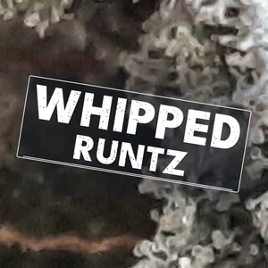 Whipped Runtz Cannabis Strain