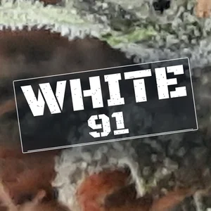 White 91 Cannabis Strain