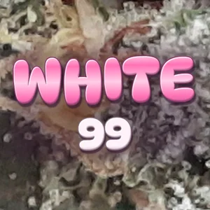 White 99 Cannabis Strain