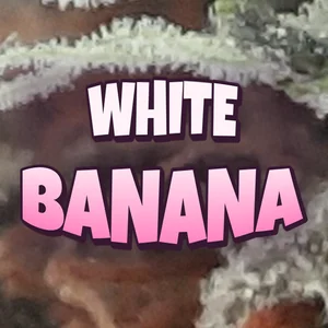 White Banana Cannabis Strain