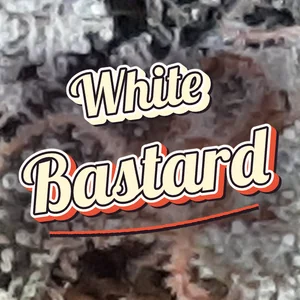 White Bastard Cannabis Strain