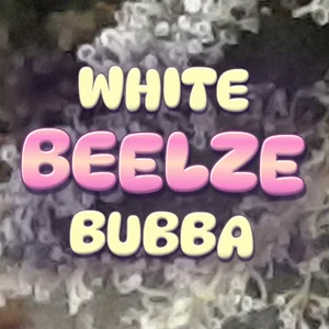 White Beelze Bubba Cannabis Strain