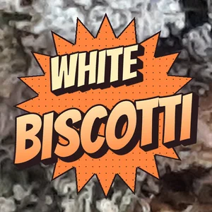 White Biscotti Cannabis Strain