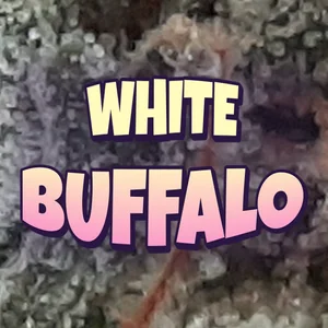 White Buffalo Cannabis Strain