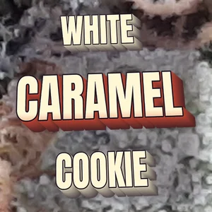 White Caramel Cookie Cannabis Strain