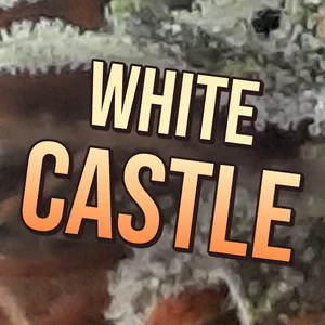 White Castle Cannabis Strain