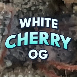 White Cherry OG Cannabis Strain