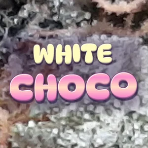 White Choco Cannabis Strain