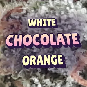 White Chocolate Orange Cannabis Strain