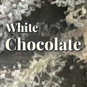 White Chocolate Cannabis Strain