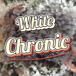 White Chronic Cannabis Strain