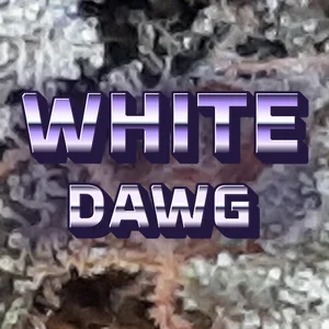 White Dawg Cannabis Strain