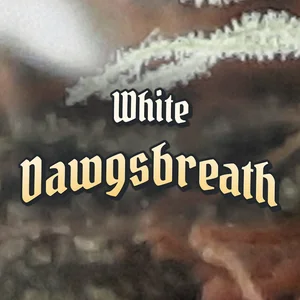 White Dawgsbreath Cannabis Strain