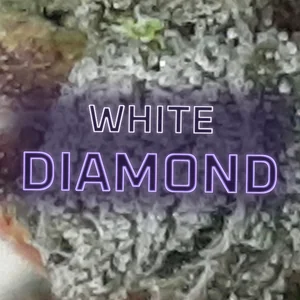 White Diamond Cannabis Strain
