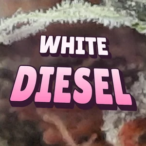 White Diesel Cannabis Strain
