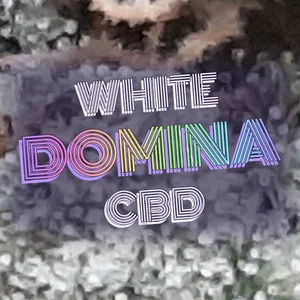 White Domina CBD Cannabis Strain