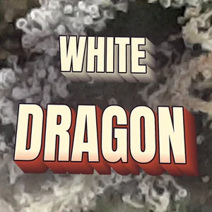White Dragon Cannabis Strain