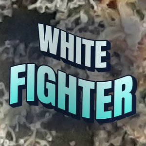 White Fighter Cannabis Strain