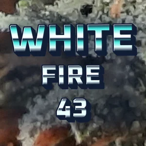 White Fire 43 Cannabis Strain