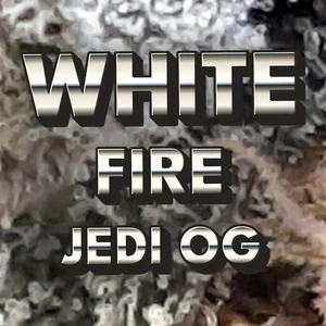 White Fire Jedi OG Cannabis Strain