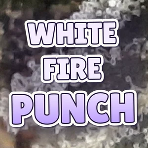 White Fire Punch Cannabis Strain