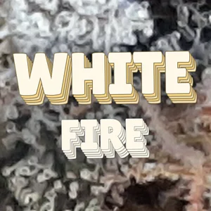 White Fire Cannabis Strain