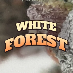 White Forest Cannabis Strain