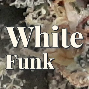 White Funk Cannabis Strain