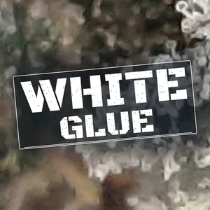 White Glue Cannabis Strain