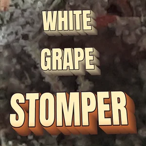 White Grape Stomper Cannabis Strain