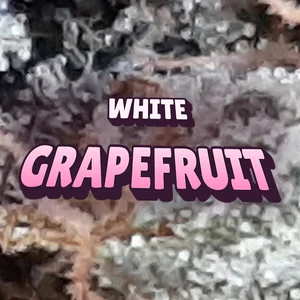 White Grapefruit Cannabis Strain
