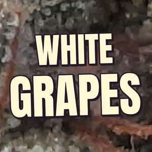 White Grapes Cannabis Strain