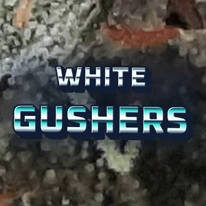 White Gushers Cannabis Strain