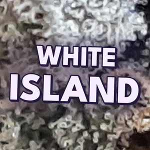 White Island Cannabis Strain