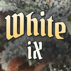 White iX Cannabis Strain