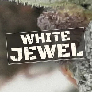 White Jewel Cannabis Strain