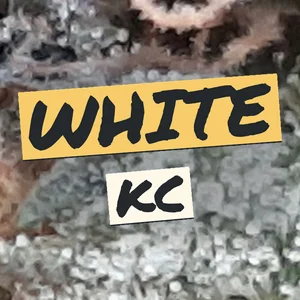 White KC Cannabis Strain