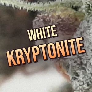 White Kryptonite Cannabis Strain