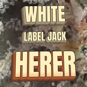 White Label Jack Herer Cannabis Strain