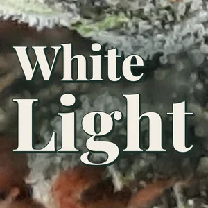 White Light Cannabis Strain