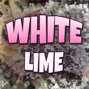 White Lime Cannabis Strain