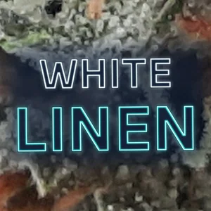 White Linen Cannabis Strain