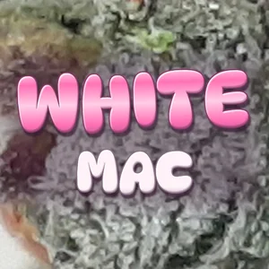 White MAC Cannabis Strain