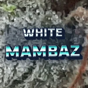 White Mambaz Cannabis Strain