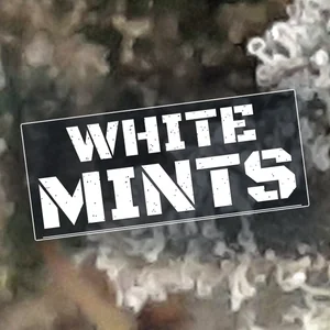 White Mints Cannabis Strain